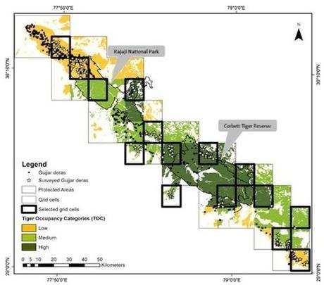 RELOCATING HUMANS FOR TIGER CONSERVATION IS A WIN FOR BOTH