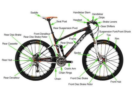 Mountain bike online anatomy