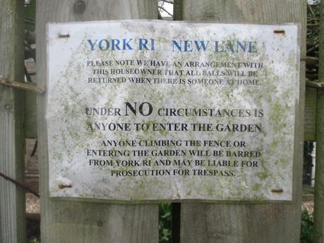 My Matchday - 381 New Lane