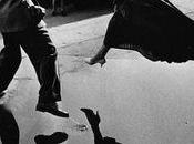 "Has Women's Liberation Movement Really Scared Bejesus This Much?"