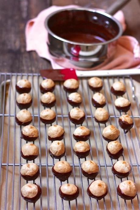 Biscoff Buckeyes buckeyes-portrait