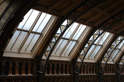An abundance of animals Interior of a Victorian glass roof; between the windows are metal arches decorated with plant motifs.