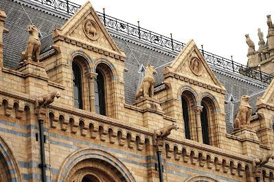 An abundance of animals Photo showing a small section of the Natural History Museum facade, decorated with many animals in various formats.