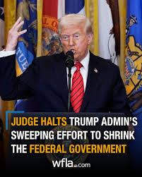 U.S. judge pauses Trump administration's  downsizing of the government workforce and agencies, calling his efforts illegal without authorization from Congress