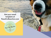 EMAIL TEMPLATE: Contact Your About Online Misinformation