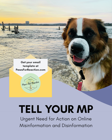 EMAIL TEMPLATE: Contact your MP about online misinformation