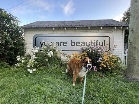 EMAIL TEMPLATE: Contact your MP about online misinformation