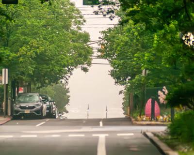 On the street in Hoboken on a foggy morning
