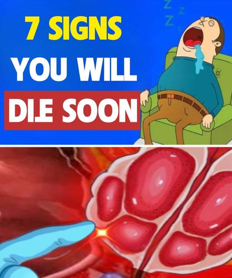 15 signs that indicate you may have leukemia, and that you should never ignore 15 signs that indicate you may have leukemia, and that you should never ignore