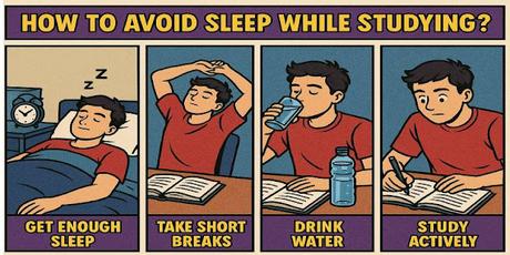 How to Avoid Sleep While Studying