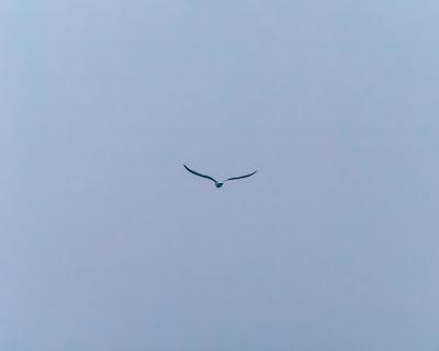 Friday Fotos: The art of the minimal photo