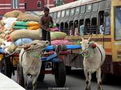 City Roads Space Conflict