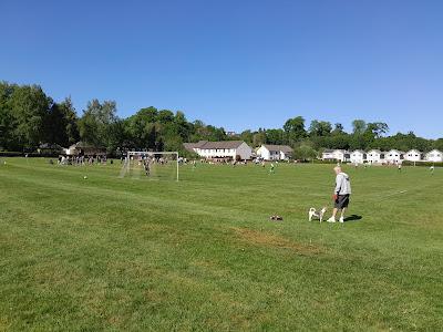 ✓960. Woodside Park