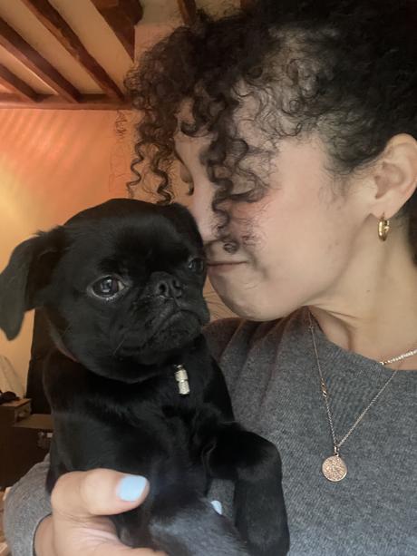 A Creative Life A Creative Life