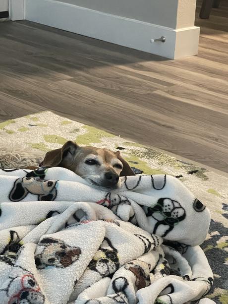 A Creative Life A Creative Life