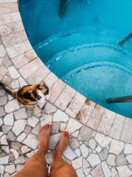 A Creative Life A Creative Life