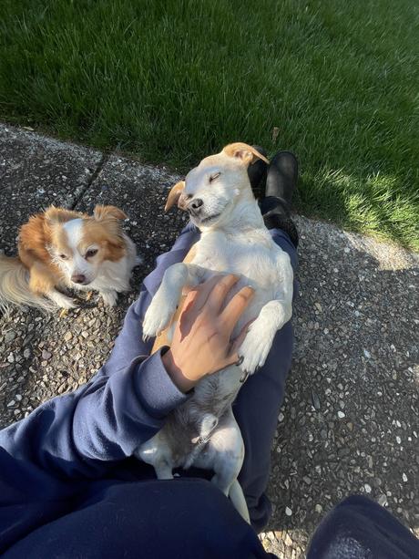 A Creative Life A Creative Life