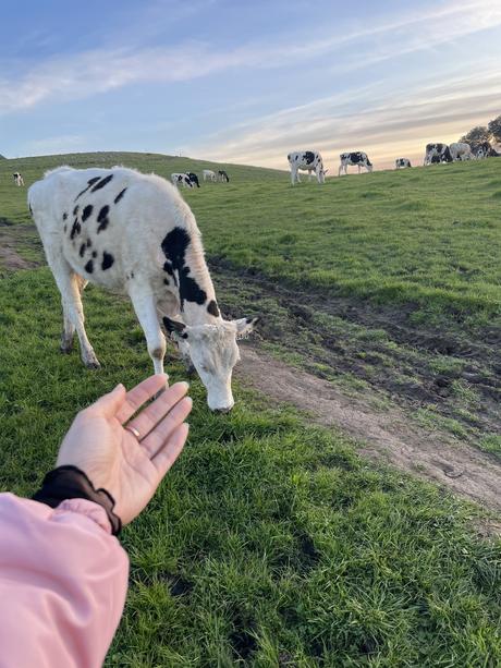 A Creative Life A Creative Life