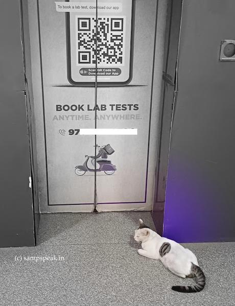 Gadgets - Apps - Appointments !! Gadgets - Apps - Appointments !!