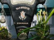 Warframe Guide Tonnkatt Melee Weapon