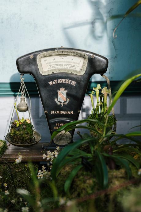 Warframe Guide to Tonnkatt Melee Weapon Warframe Guide to Tonnkatt Melee Weapon