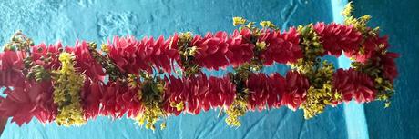 மருதாணி… மருதாணி… மருதாணி விழியில் ஏன் ~ Lawsonia inermis (Henna) !! மருதாணி… மருதாணி… மருதாணி விழியில் ஏன் ~ Lawsonia inermis (Henna) !!