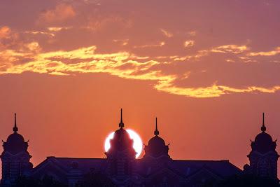 Dandelions, with the sun rising over Ellis Island Dandelions, with the sun rising over Ellis Island