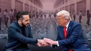 Trump: Mister Human Rights Trump: Mister Human Rights