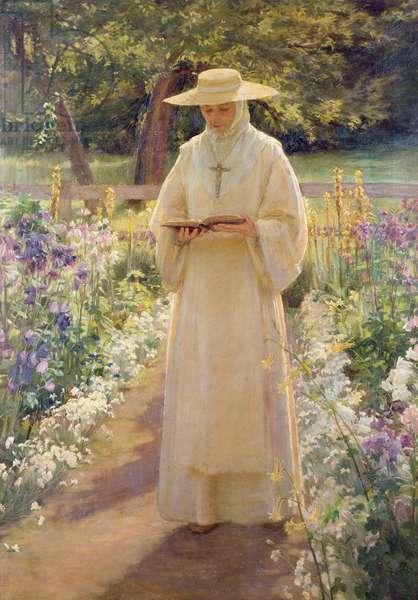 Come on, Feel the Noyes Come on, Feel the Noyes