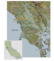 Grape Spotlight: The Green Valley of the Russian River Valley Pinot Noir