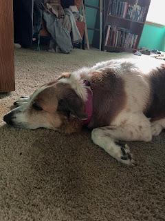 Stella, My Dear Stella, My Dear