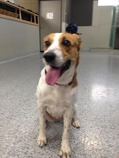 Stella, My Dear Stella, My Dear