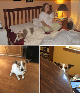 Stella, My Dear Stella, My Dear