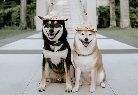 Le Petit Prince Comes Alive: Sofitel’s Storybook-Inspired Family Experiences Across Asia