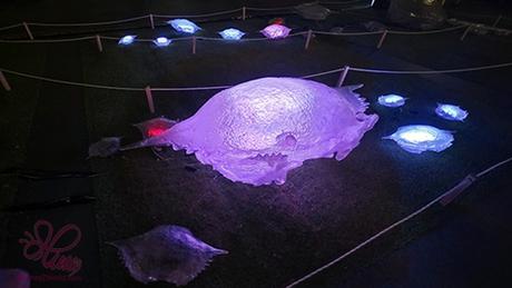 Dive Into Island Nights at Singapore Night Festival 2025 – A SG60 Celebration Dive Into Island Nights at Singapore Night Festival 2025 – A SG60 Celebration