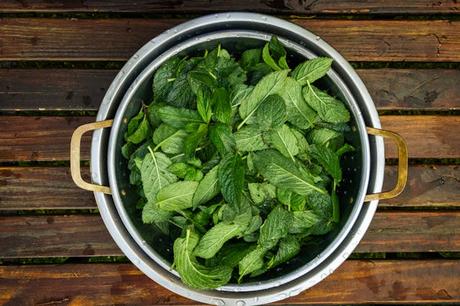 Ease your child's pain and discomfort with these home remedies for sore throat! While sore throat has many causes, these remedies can offer relief!