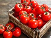 Easy Homemade Tomato Sauce Recipe