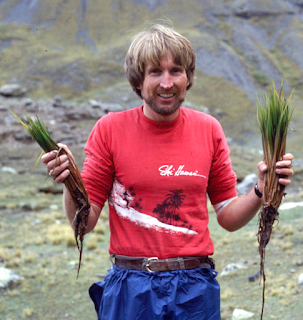 The Monthly Fern—More Quirks of Quillworts