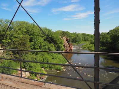 Monthly Ferns—Prairie Quillwort & Scale Tree Monthly Ferns—Prairie Quillwort & Scale Tree