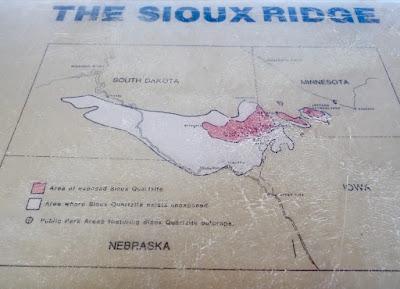 Monthly Ferns—Prairie Quillwort & Scale Tree Monthly Ferns—Prairie Quillwort & Scale Tree