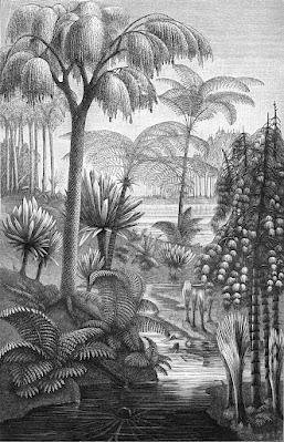 Monthly Ferns—Prairie Quillwort & Scale Tree Monthly Ferns—Prairie Quillwort & Scale Tree