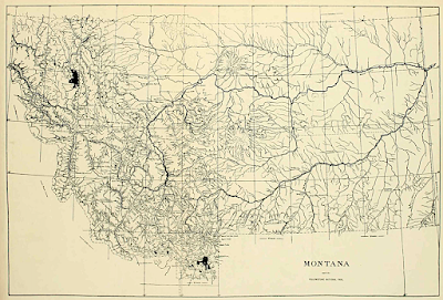 The Monthly Fern??—Prairie Spikemoss