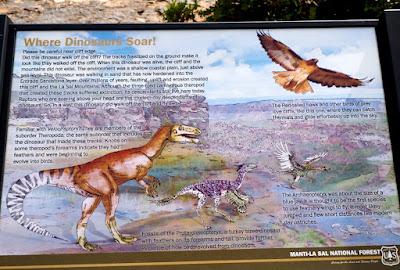 those birds unknown, that left only footprints