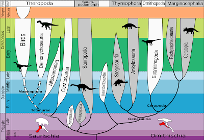 those birds unknown, that left only footprints