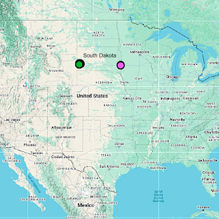 Monthly Fern: polypodies & fern sex (or do they?) Monthly Fern: polypodies & fern sex (or do they?)