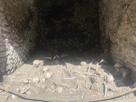 The fragility of life