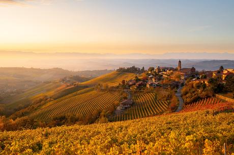 The Subtle Charm of Italy in Fall View of Treiso in Autumn, Langhe, Piedmont, Italy