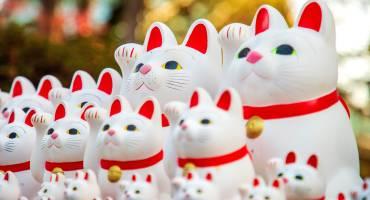 The Art of Itineraries by Enchanting Travels