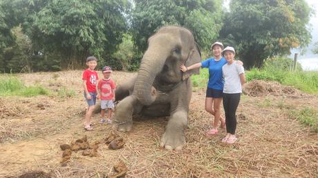 Happiness is... celebrating every sweet moment