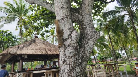 Our 17-pax family vacation in Bali